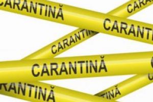 În Maramureş: Patru persoane au solicitat intrarea în carantină instituţionalizată