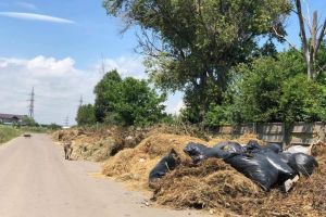 Constanteanul suparat: Dupa sesizari la Politie si la Garda de Mediu s-a facut curatenie la groapa de gunoi din capatul strazii Varful cu Dor
