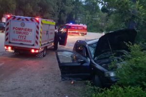 Băut fiind, s-a izbit cu maşina de copac