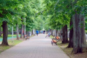Meteo: Vremea va fi răcoroasă luni, în Maramureş. Precipitaţii mixte în zona montană înaltă