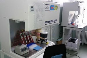 Coronavirus în Bihor: 141 de cazuri active, 12 infectări diagnosticate în ultimele 24 de ore
