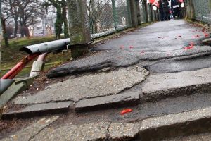 Firma care a proiectat reabilitarea podurilor peste Bega a mai prins un contract cu Primăria Timişoara