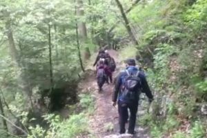 Turiste recuperate de jandarmi, din Bucegi, după ce s-au întâlnit cu un urs