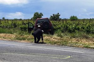 FOTO: ULTIMĂ ORĂ: Impact frontal pe şoseaua europeană | Două persoane rănite grav