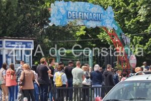 Ziua internationala a copilului: Aglomeratie mare la Delfinariul din Constanta. Cu mic cu mare, la coada pentru a intra la spectacolele cu delfini (galerie foto)  