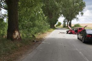 Tulcea: Accident pe DJ 222, in apropierea localitatii Turcoaia. O victima