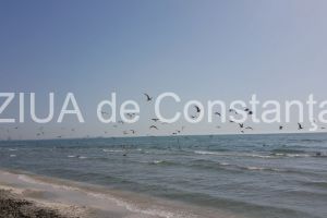 Vremea in Dobrogea. Iata cum vor evolua temperaturile in urmatoarele doua saptamani