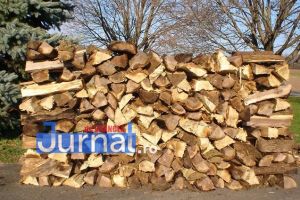 Autorităţile s-au sesizat în cazul tăierilor de arbori din punctele Baboviciu şi Gălăciuc!