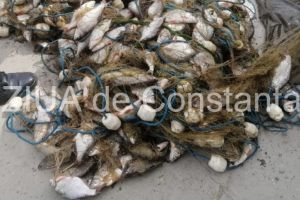 Peste 100 kg peste confiscate de politistii de frontiera