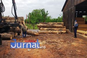 Material lemnos în valoare de zeci de mii de lei confiscat de autorităţile din Vrancea în urma mai multor controale!