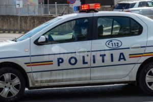 Poliţişti din Bucureşti şi nouă judeţe acţionează în Suceava pentru combaterea ...