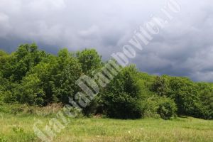 Averse, grindină, descărcări electrice şi vijelii, aşteptate până miercuri dimineaţă