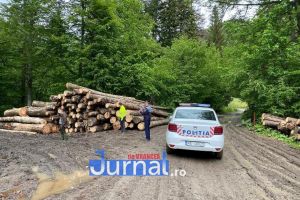Ce spun autorităţile despre tăierile de pădure din punctele Gălăciuc şi Babovici, aflate pe raza comunei Tulnici!