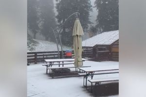 VIDEO Ninge la Cabana Postăvarul!
