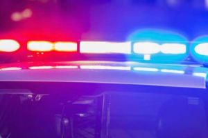 Crimă în apropiere de Lugoj. Un bărbat a ucis un tânăr care intrase peste el în curte