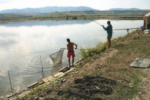 S-au tâmpit sau aşa sunt cei de la guvernare? Reguli absurde pe baltă, la pescuit