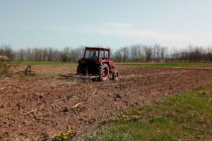 APIA: 746.625 cereri unice de plată aferente Campaniei 2020 au fost depuse până acum