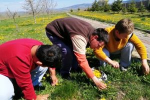 „Reducerea numărului de copii şi tineri instituţionalizaţi în judeţul Harghita prin furnizarea serviciilor de prevenire a separării copilului de familie şi a serviciilor de tip familial”