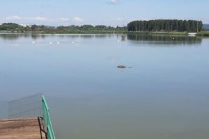 CADAVRU GĂSIT PLUTIND PE LACUL PRUNDU ÎN PITEȘTI
