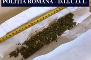 Perchezitii la un barbat din Tulcea. Oamenii legii au gasit substante psihoactive