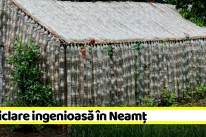 Reciclare ingenioasă în Neamţ: solar făcut din peturi