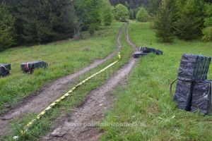 Țigări de aproape 100.000 de euro, capturate într-o acţiune cu focuri de armă