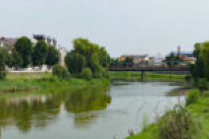 Invitaţie deschisă: acţiune de ecologizare a Văii Timişului, în zona Șag-Giroc