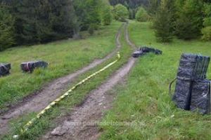 Peste 38.000 de pachete cu ţigări de contrabandă, confiscate la frontiera de nord a României