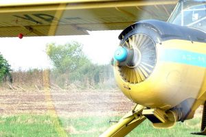 Paşi înainte la Aerodromul Cioca. Licitaţie pentru documentaţia necesară certificării