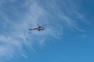 Descinderi la firme de prelucrarea lemnului, supravegheate şi din elicopter, la Moldoviţa