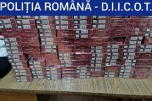Peste 30 de perchezitii domiciliare efectuate de DIICOT si ofiterii de la Crima Organizata. Ce cautau politistii