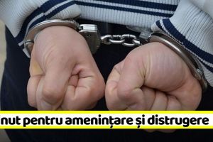 NEAMȚ: Reţinut pentru ameninţare, distrugere şi violare de domiciliu