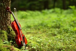 Surpriză pentru melomani: Filamonica Oradea oferă primul concert în aer liber după starea de urgenţă
