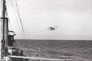 Aripile Marinei  
