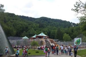 Grădina Zoologică Braşov, deschisă şi în a doua zi de Rusalii
