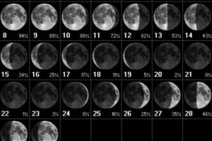 Cu ochii pe cer: Eclipsă de Lună prin penumbră