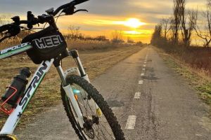 Bicicletă furată din Calea Șagului