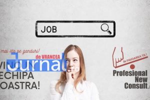 Profesional New Consult ANGAJEAZĂ