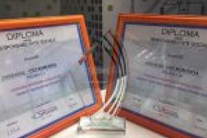 Pentru al patrulea an consecutiv, #energiapentrubine a voluntarilor CEZ este răsplătită în cadrul Galei Romanian CSR Awards 2020
