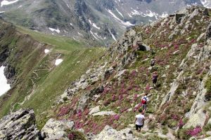 Judeţul Sibiu, gazdă pentru cel mai mare eveniment european de drumeţie
