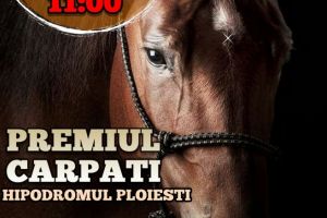 Cursele de cai vor putea fi urmărite în mai multe ţări europene!