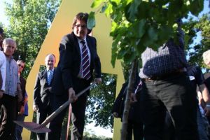 Primarul Timişoarei, declaraţie de dragoste pentru copaci de Ziua Mediului. Defrişări vs. plantări în 2019