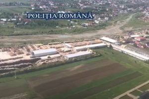 Politia Romana. Actiune pentru protejarea fondului forestier. S-au aplicat amenzi (video) 