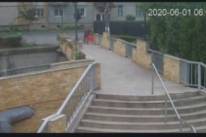 VIDEO| Bărbat suprins de o cameră de supraveghere la furat flori, cu tot cu jardiniere, în Aiud