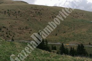 BUCEGI: S-a deschis oficial DJ 713 Transbucegi (Cota 1000-Dichiu-Piatra Arsă) )