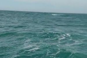 UPDATE: Operatiune pentru gasirea unei ambarcatiuni cu o persoana disparuta in zona Pescarie din Constanta (galerie foto+video)        
