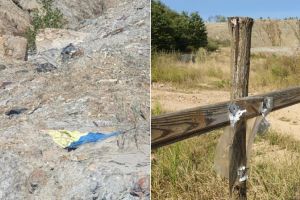 Reabilitarea ecologică a haldelor de steril din fostele zone miniere – proiect de importanţă naţională