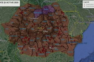 Actualizarea situatiei privind evolutia Pestei Porcine Africane. Judetul Constanta: 21 de mistreti gasiti morti si 22 vanati 