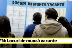 45 noi locuri de muncă în Neamţ. În total sunt 310 vacante la data de 6 iunie