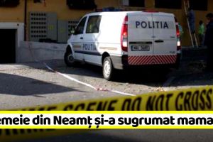 Crimă şocantă la Râmnicu Vâlcea. O femeie originară din Piatra-Neamţ şi-a sugrumat mama